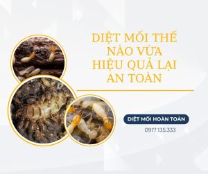 diệt mối hiệu quả lại an toàn