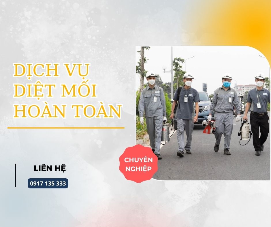 Dịch vụ diệt mối hoàn toàn